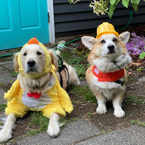 Meet your Posher, Scott